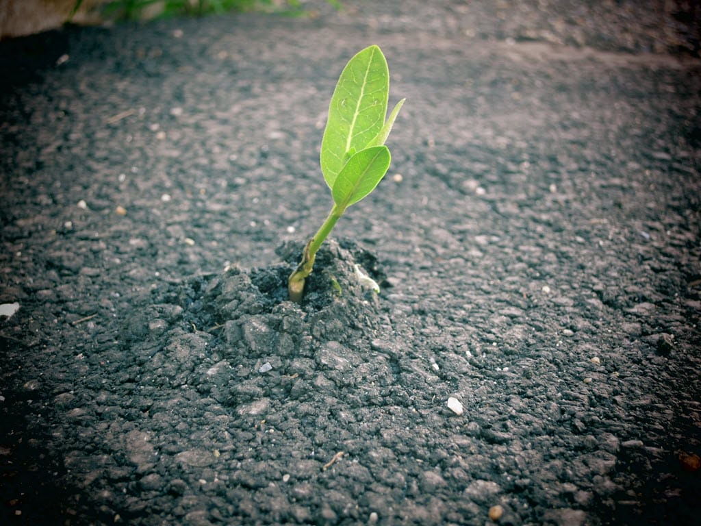 Resiliency