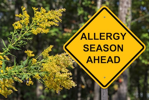 allergies vs cold
